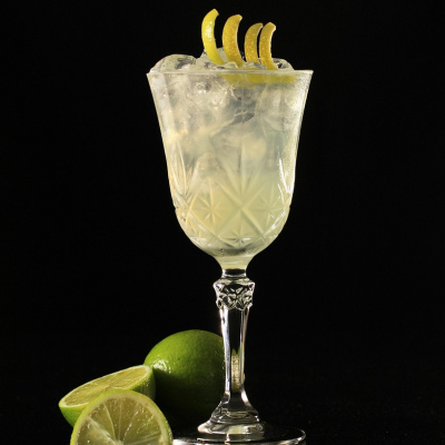 Gin Tumbler